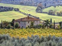 Italy, Tuscany. Vineyards and Olive Trees in Autumn by a House-Julie Eggers-Photographic Print