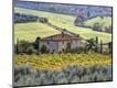 Photographic Print