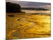 Premium Photographic Print