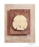 Echinacea-Julie Nightingale-Framed Art Print