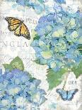 Garden Hydrangea I-Julie Paton-Art Print