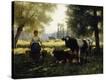 Stretched Canvas Print