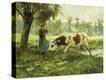 Stretched Canvas Print