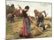 Giclee Print