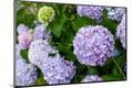 Premium Photographic Print