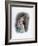 Juliet, 1891-null-Framed Giclee Print