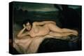 Stretched Canvas Print