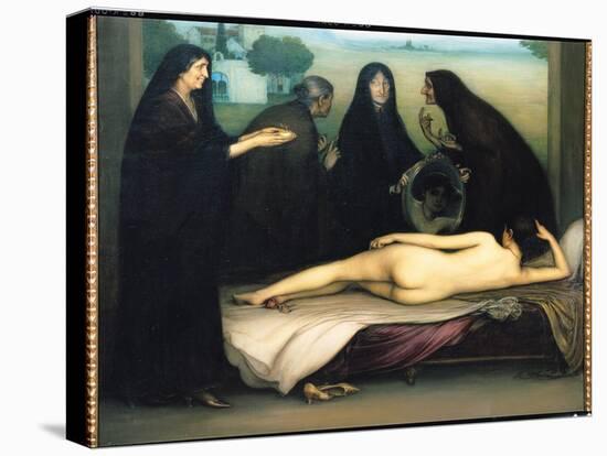 Stretched Canvas Print, , large