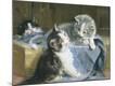 Giclee Print