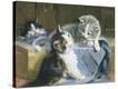 Stretched Canvas Print