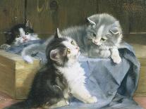 Playful Kittens-Julius Adam-Framed Giclee Print