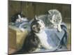 Giclee Print