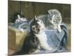 Giclee Print