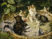 Katze mit vier Jungen auf einem alten Teppich-Julius Adam-Framed Giclee Print