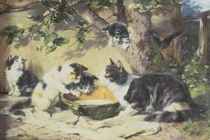 Besuch bei der kranken Katze-Julius Adam-Giclee Print