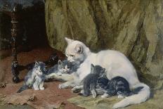 Besuch bei der kranken Katze-Julius Adam-Giclee Print