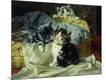 Giclee Print