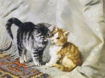 Playful Kittens-Julius Adam-Mounted Giclee Print