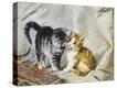 Stretched Canvas Print
