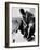 Julius Caesar, 1953-null-Framed Photographic Print