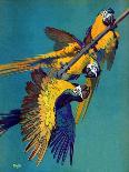 "Three Parrots," Saturday Evening Post Cover, March 11, 1939-Julius Moessel-Giclee Print