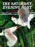 "Three Parrots," Saturday Evening Post Cover, March 11, 1939-Julius Moessel-Giclee Print