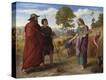 Stretched Canvas Print