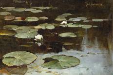 Water Lilies-Julius Sergius Klever-Giclee Print