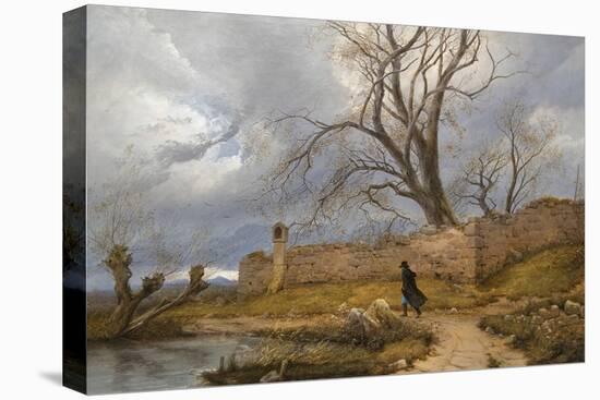 Stretched Canvas Print, , large
