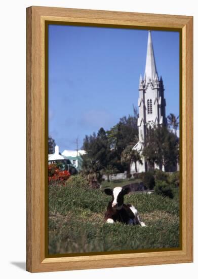 July 1973: Bermuda-Alfred Eisenstaedt-Framed Premier Image Canvas