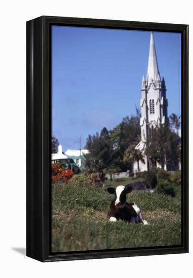 July 1973: Bermuda-Alfred Eisenstaedt-Framed Premier Image Canvas