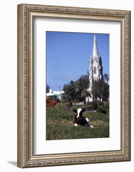 July 1973: Bermuda-Alfred Eisenstaedt-Framed Photographic Print