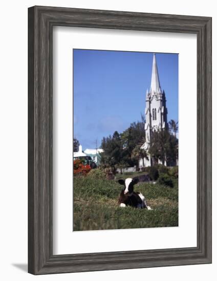 July 1973: Bermuda-Alfred Eisenstaedt-Framed Photographic Print