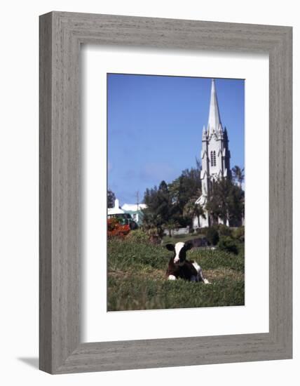 July 1973: Bermuda-Alfred Eisenstaedt-Framed Photographic Print