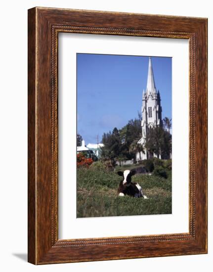 July 1973: Bermuda-Alfred Eisenstaedt-Framed Photographic Print