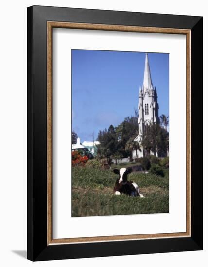 July 1973: Bermuda-Alfred Eisenstaedt-Framed Photographic Print