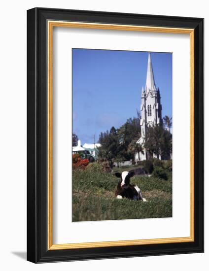 July 1973: Bermuda-Alfred Eisenstaedt-Framed Photographic Print