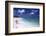 July 1973: Couple Walking on the Beach, Bermuda-Alfred Eisenstaedt-Framed Photographic Print