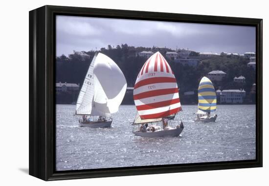 July 1973: Sailing in Bermuda-Alfred Eisenstaedt-Framed Premier Image Canvas