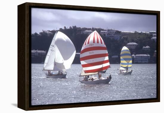 July 1973: Sailing in Bermuda-Alfred Eisenstaedt-Framed Premier Image Canvas
