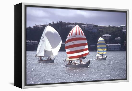 July 1973: Sailing in Bermuda-Alfred Eisenstaedt-Framed Premier Image Canvas