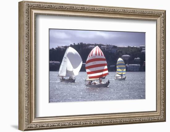 July 1973: Sailing in Bermuda-Alfred Eisenstaedt-Framed Photographic Print