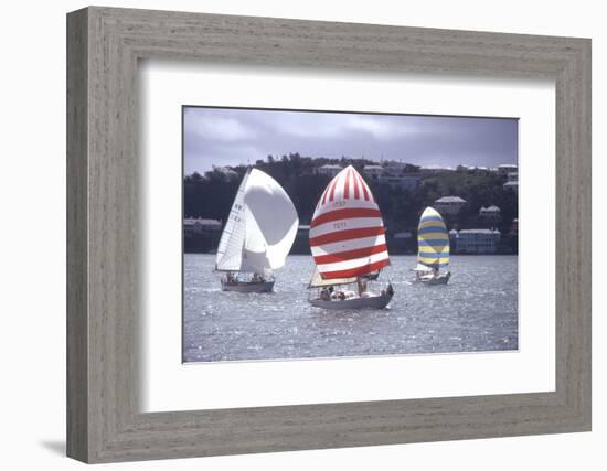 July 1973: Sailing in Bermuda-Alfred Eisenstaedt-Framed Photographic Print