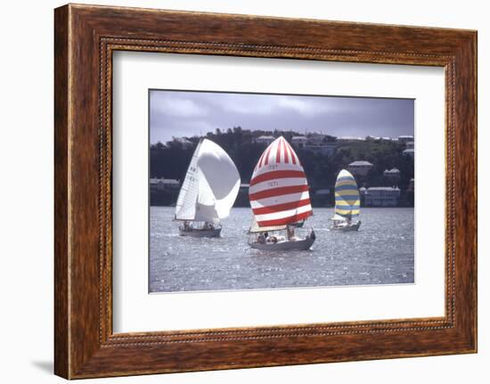 July 1973: Sailing in Bermuda-Alfred Eisenstaedt-Framed Photographic Print