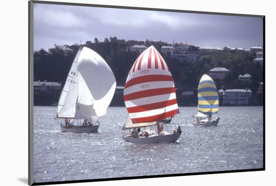 July 1973: Sailing in Bermuda-Alfred Eisenstaedt-Mounted Photographic Print