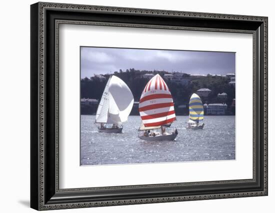 July 1973: Sailing in Bermuda-Alfred Eisenstaedt-Framed Photographic Print