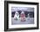 July 1973: Sailing in Bermuda-Alfred Eisenstaedt-Framed Photographic Print