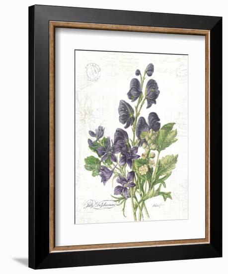 July Delphinium on White-Katie Pertiet-Framed Premium Giclee Print