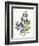 July Delphinium on White-Katie Pertiet-Framed Premium Giclee Print