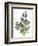 July Delphinium on White-Katie Pertiet-Framed Premium Giclee Print